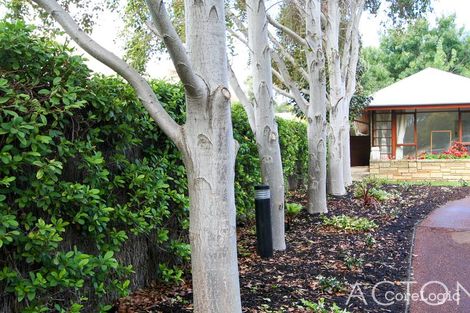 Property photo of 24 Irvine Street Peppermint Grove WA 6011