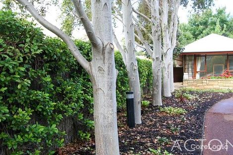 Property photo of 24 Irvine Street Peppermint Grove WA 6011