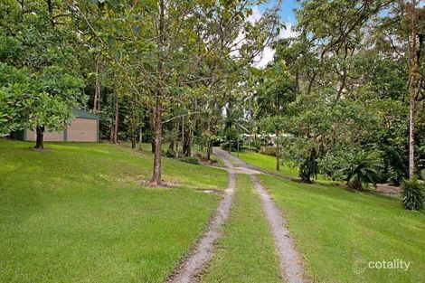 Property photo of 71 Whiteley Road Miallo QLD 4873