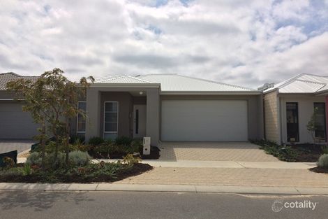5 Needletail Ave, Alkimos, WA 6038