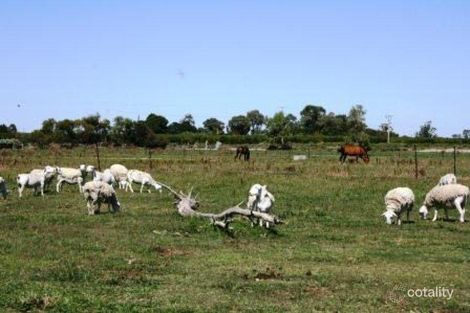 Property photo of 184 Ray Road Beverford VIC 3590