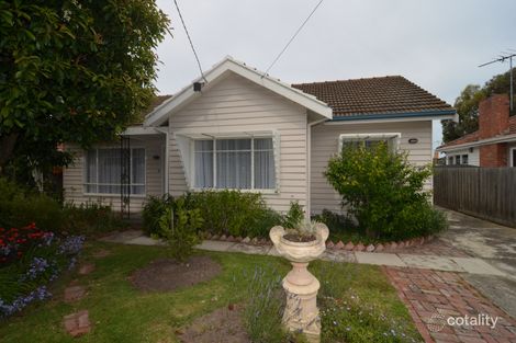 Property photo of 11 Little Avenue Hamlyn Heights VIC 3215