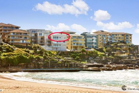 Property photo of 5/24 Queenscliff Road Queenscliff NSW 2096