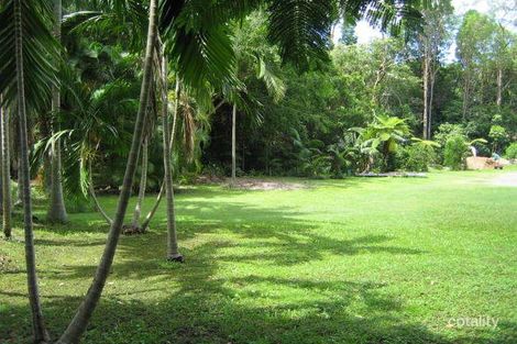 Property photo of 51 Haining Street Bardon QLD 4065