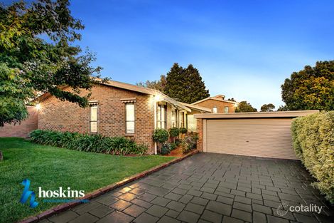 Property photo of 46 Holyrood Crescent Ringwood VIC 3134