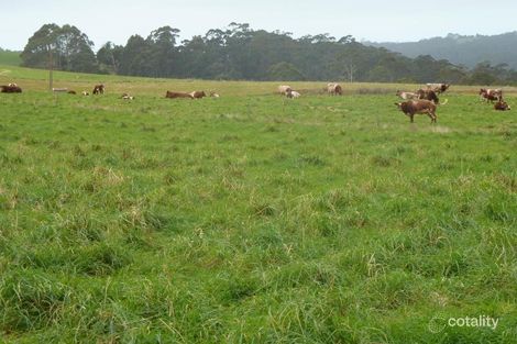 Property photo of 544 Minna Road Stowport TAS 7321