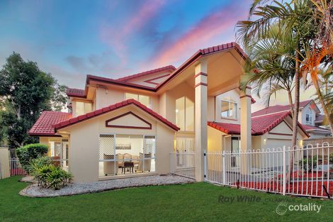 Property photo of 6 Saint Clair Close Parkinson QLD 4115