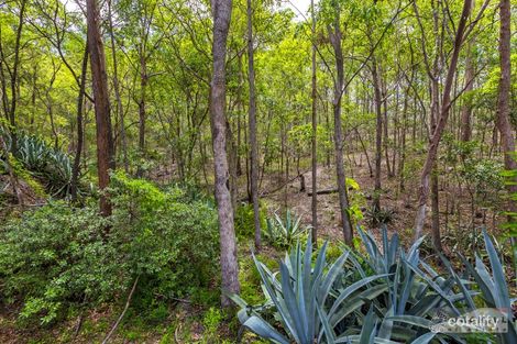 Property photo of 21 El Paso Street Bardon QLD 4065