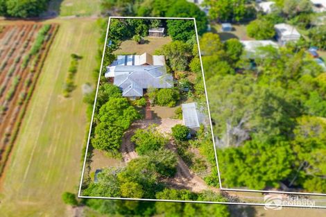 Property photo of 16 Pitt Road Birkdale QLD 4159