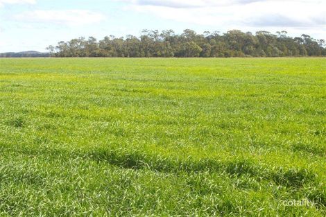 1365 Spiers Creek Rd, Rocky Creek, QLD 4357