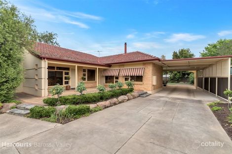 Property photo of 12 Buna Terrace Nuriootpa SA 5355