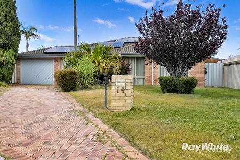 14 Boab Ct, Alexander Heights, WA 6064