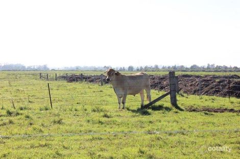 Property photo of 280 Martins Wharf Road Millers Forest NSW 2324