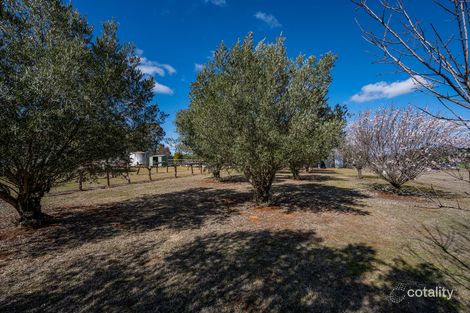 Property photo of 26 Scotts Lane Gulgong NSW 2852