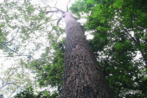 2577 North Belmore Rd, Busbys Flat, NSW 2469