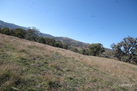 2284 Pembroke Rd, Cassilis, NSW 2329