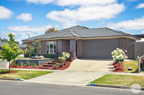 1 Palace Rd, Winter Valley, VIC 3358