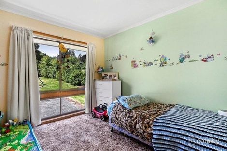 Property photo of 40 Mountain River Road Grove TAS 7109
