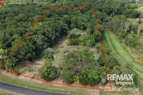 Property photo of 49 Windsor View Road Julatten QLD 4871