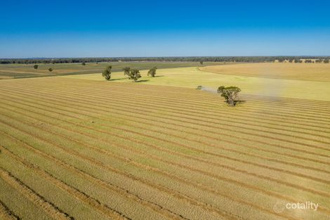 521 Grong Grong River Rd, Grong Grong, NSW 2652