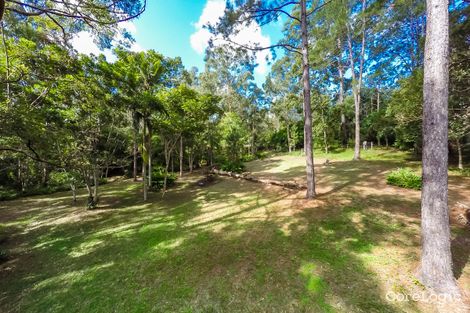 Property photo of 29-31 Crescent Road Eumundi QLD 4562