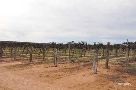 111 Promnitz Rd, Taylorville, SA 5330