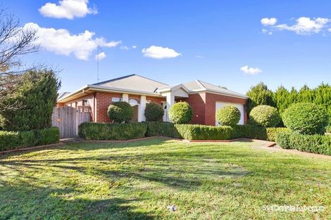 Property photo of 8 Wyndham Court Traralgon VIC 3844