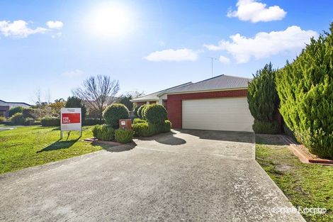 Property photo of 8 Wyndham Court Traralgon VIC 3844