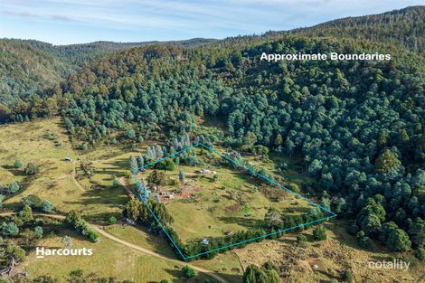 Property photo of 60 Mitchells Road Crabtree TAS 7109