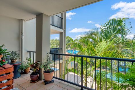 14/79 Townson Ave, Palm Beach, QLD 4221