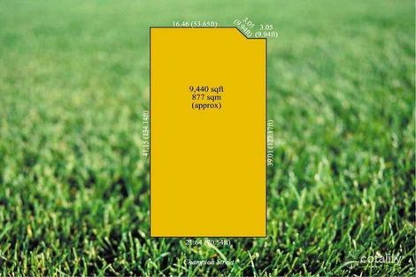 Property photo of 52 Champion Street Brighton VIC 3186