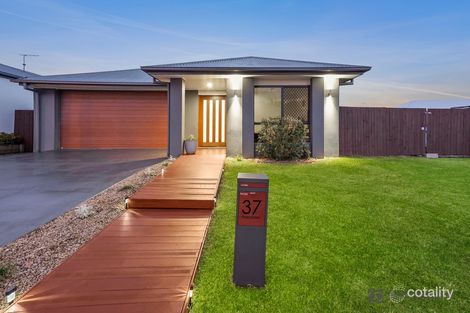 Property photo of 37 Pine Street Caboolture South QLD 4510