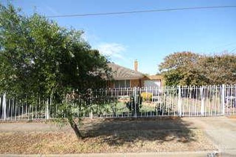 14 Hyman Ave, Edwardstown, SA 5039