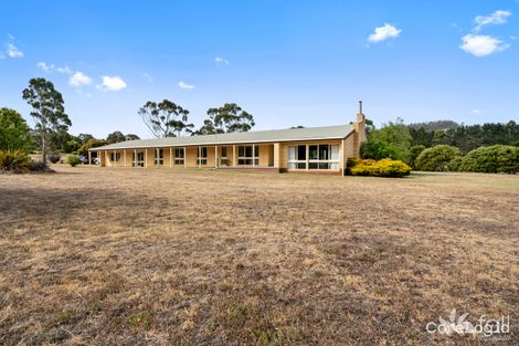 Property photo of 37 Sirocco Court Acton Park TAS 7170