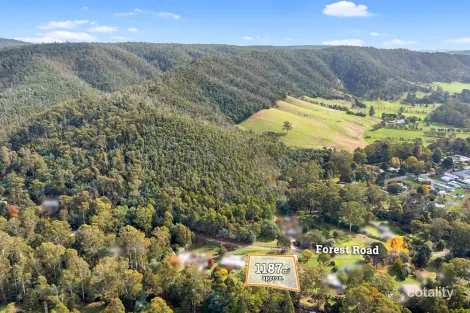 Property photo of 35 Forest Road Flowerdale VIC 3717