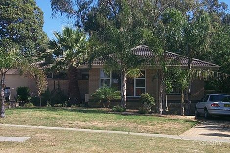 79 Beatrice St, Innaloo, WA 6018