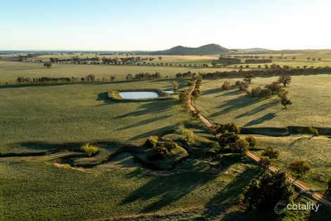 1679 Stockinbingal Rd, Cootamundra, NSW 2590