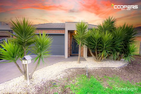 Property photo of 9 Birdswing Terrace Melton South VIC 3338