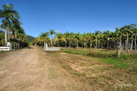 1069 Conway Rd, Conway, QLD 4800