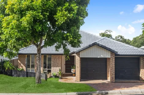 Property photo of 6 Bards Court Nerang QLD 4211