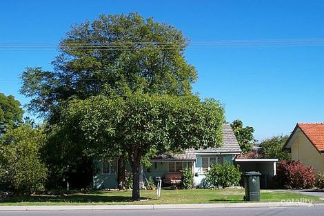 131 Hillsborough Dr, Nollamara, WA 6061