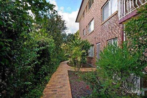 Property photo of 51 Adamson Street Wooloowin QLD 4030