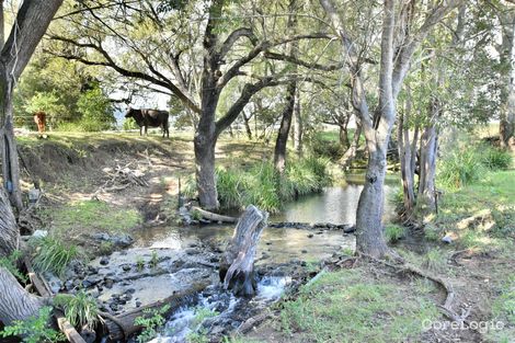 Property photo of 347 Mundoolun Connection Road Boyland QLD 4275