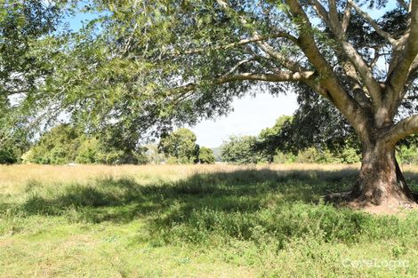Property photo of 347 Mundoolun Connection Road Boyland QLD 4275