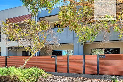 5/17 Euston Walk, Mawson Lakes, SA 5095
