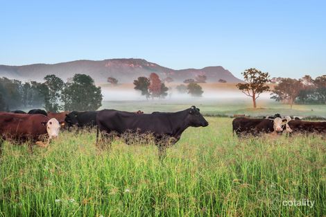 40 Gillards Rd, Pokolbin, NSW 2320