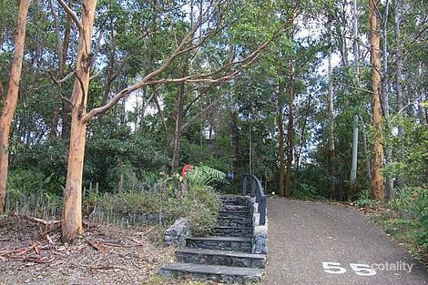 Property photo of 55 Elwood Street Kenmore Hills QLD 4069