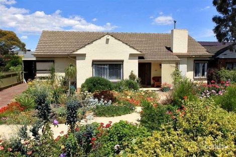 22 Wattle Tce, Plympton Park, SA 5038