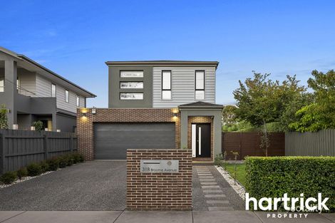 Property photo of 31B Broome Avenue Mentone VIC 3194