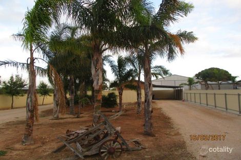 Property photo of 19 Prosperity Grove Murray Bridge SA 5253